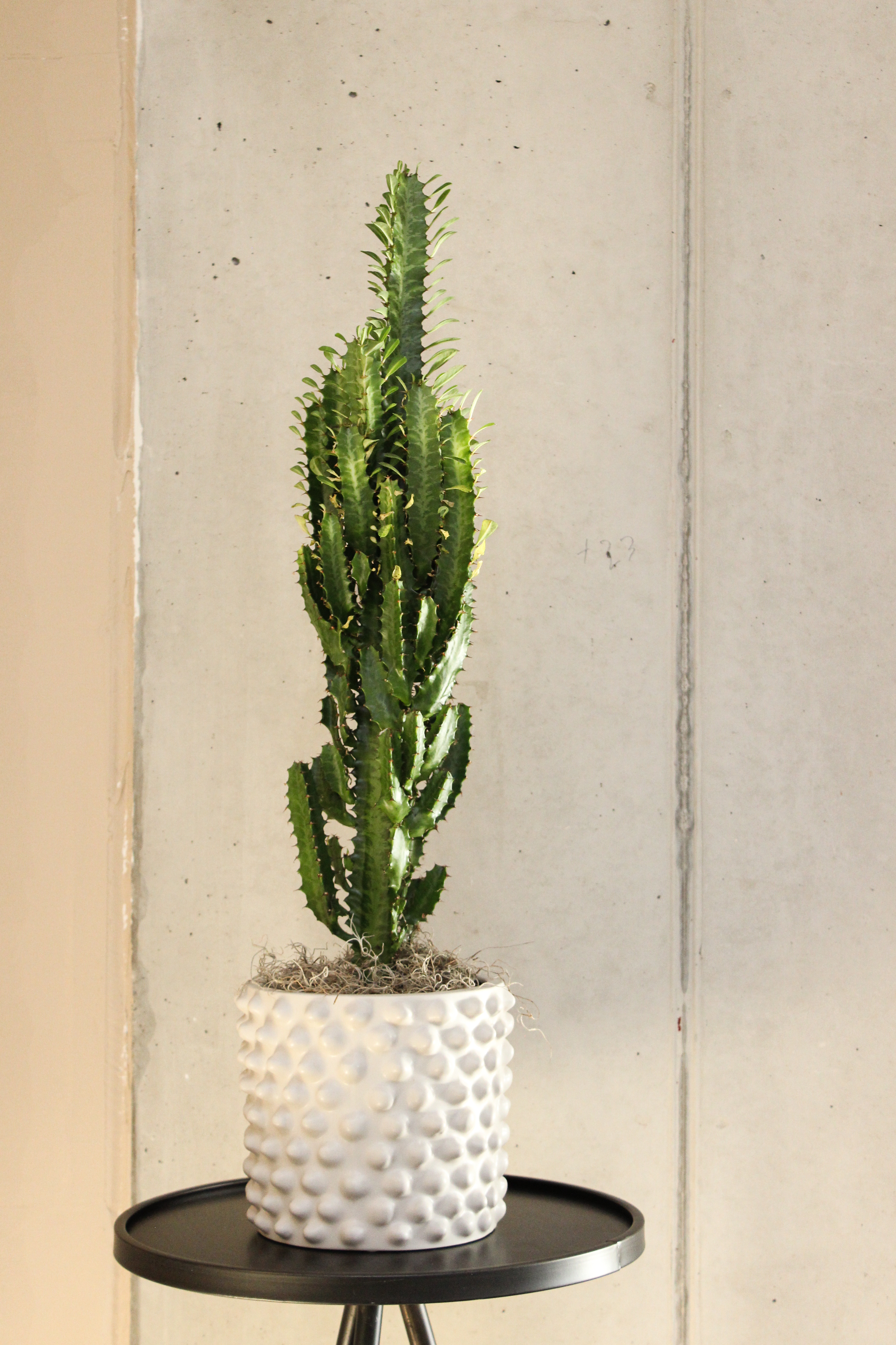 Topf Cloudy mittel - greige